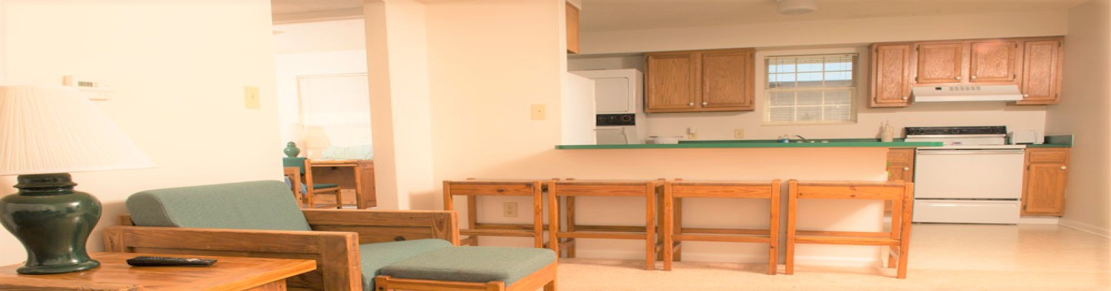 15 S Shafer St 1902 Athens, Ohio 45701, 4 Bedrooms Bedrooms, ,2 BathroomsBathrooms,Apartment,For Rent,S Shafer St,1,1104