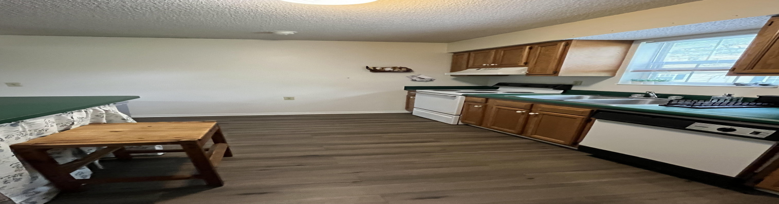 15 S. Shafer Street, Ohio, 4 Bedrooms Bedrooms, ,2 BathroomsBathrooms,Apartment,For Rent,S. Shafer,1284